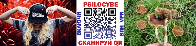 Купить закладки  Калининград  Галлюциногенные грибы Psilocybine cubensis 